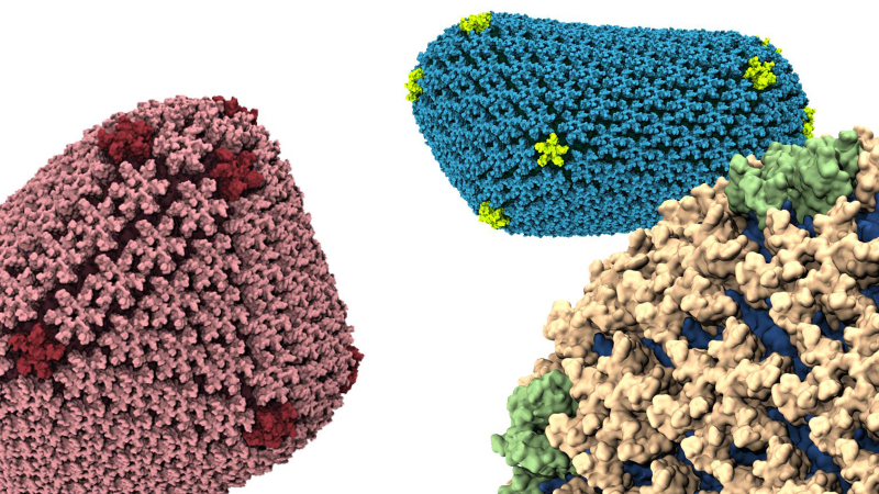 Illustration for article titled How a Supercomputer May Have Finally Unlocked a Way to Beat HIV